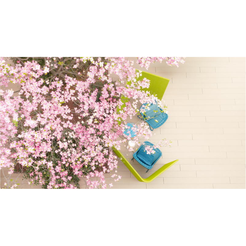 PaolaLenti_Jardin_kreslas_galerija_6